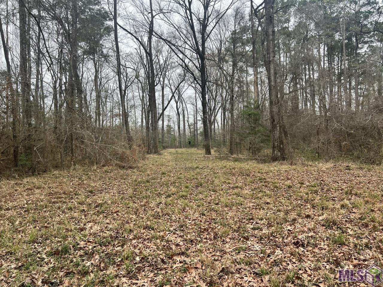 282 Price Road Clinton, LA 70722 - Photo 15 of 24