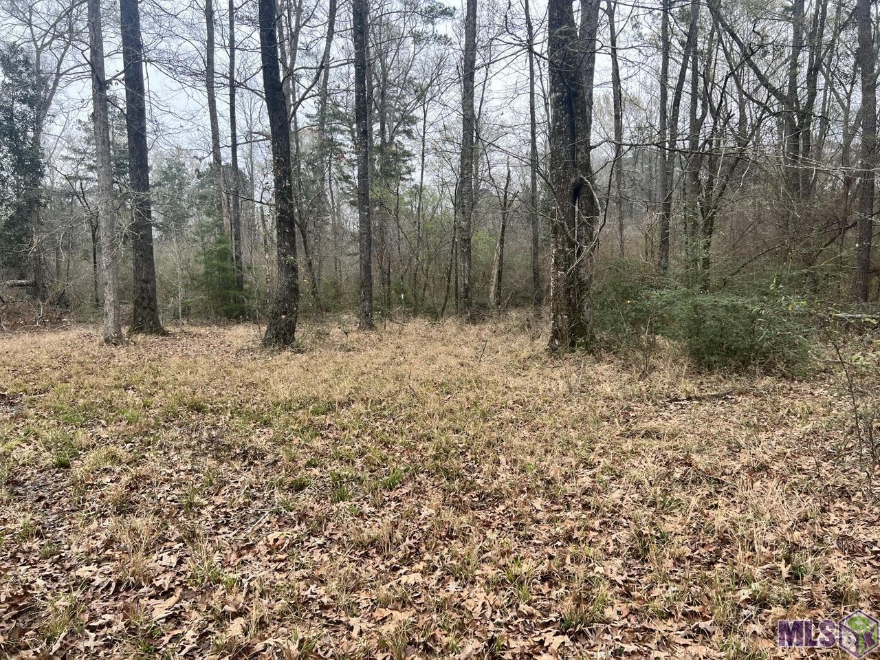282 Price Road Clinton, LA 70722 - Photo 20 of 24
