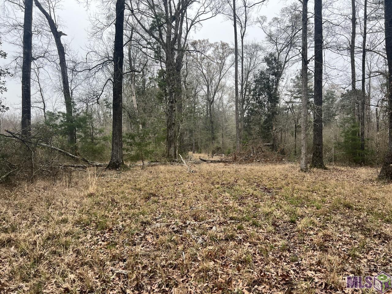 282 Price Road Clinton, LA 70722 - Photo 21 of 24