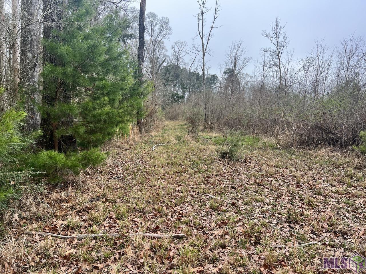 282 Price Road Clinton, LA 70722 - Photo 22 of 24
