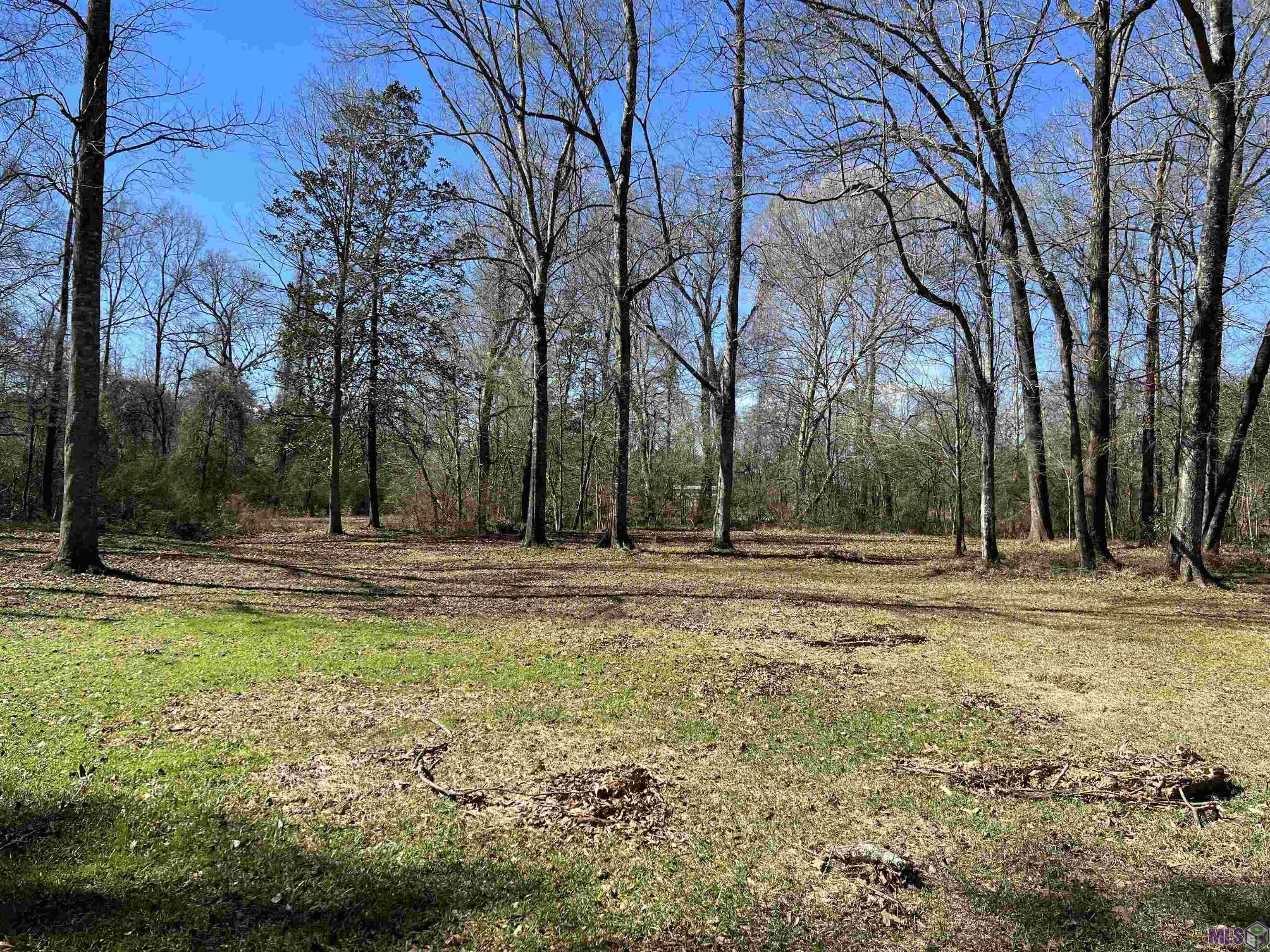 282 Price Road Clinton, LA 70722 - Photo 3 of 24