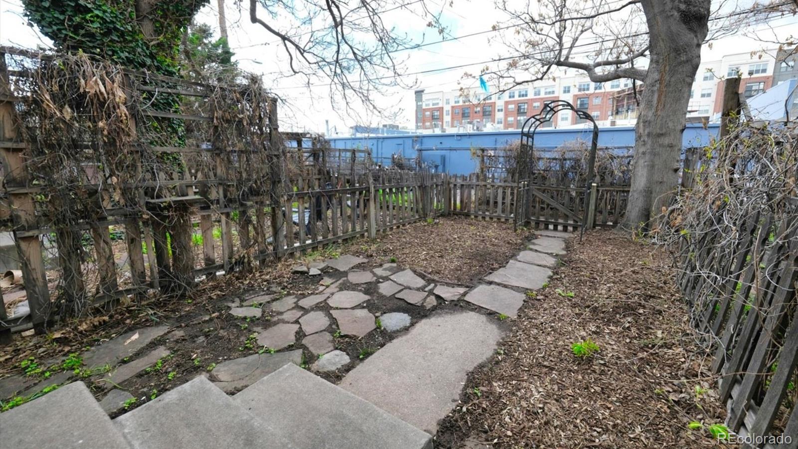 553 Logan Street Denver, CO 80203 - Photo 32 of 38 a view of a yard with trees