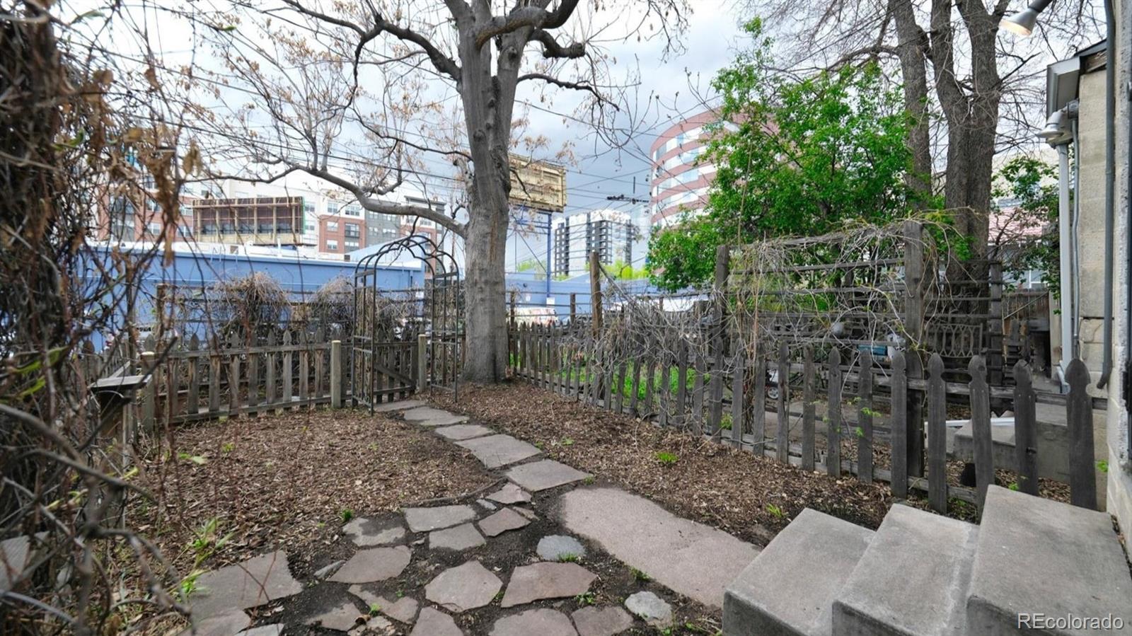 553 Logan Street Denver, CO 80203 - Photo 33 of 38 a view of a yard with plants and trees