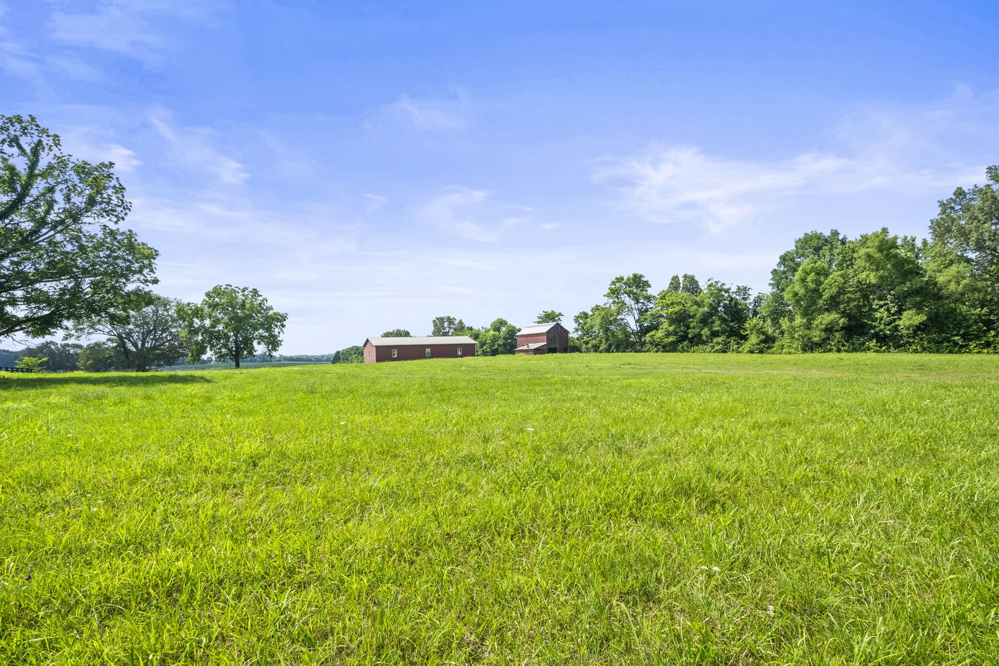 4635 Highway 431 Springfield, TN 37172 - Photo 4 of 15 Gallery Image 4