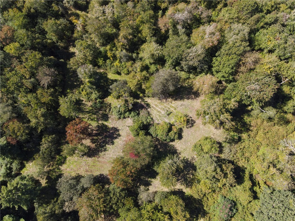 0 Tower Hill Road South Kingstown, RI 02879 - Photo 2 of 9 Beautiful private spot for a potential house lot