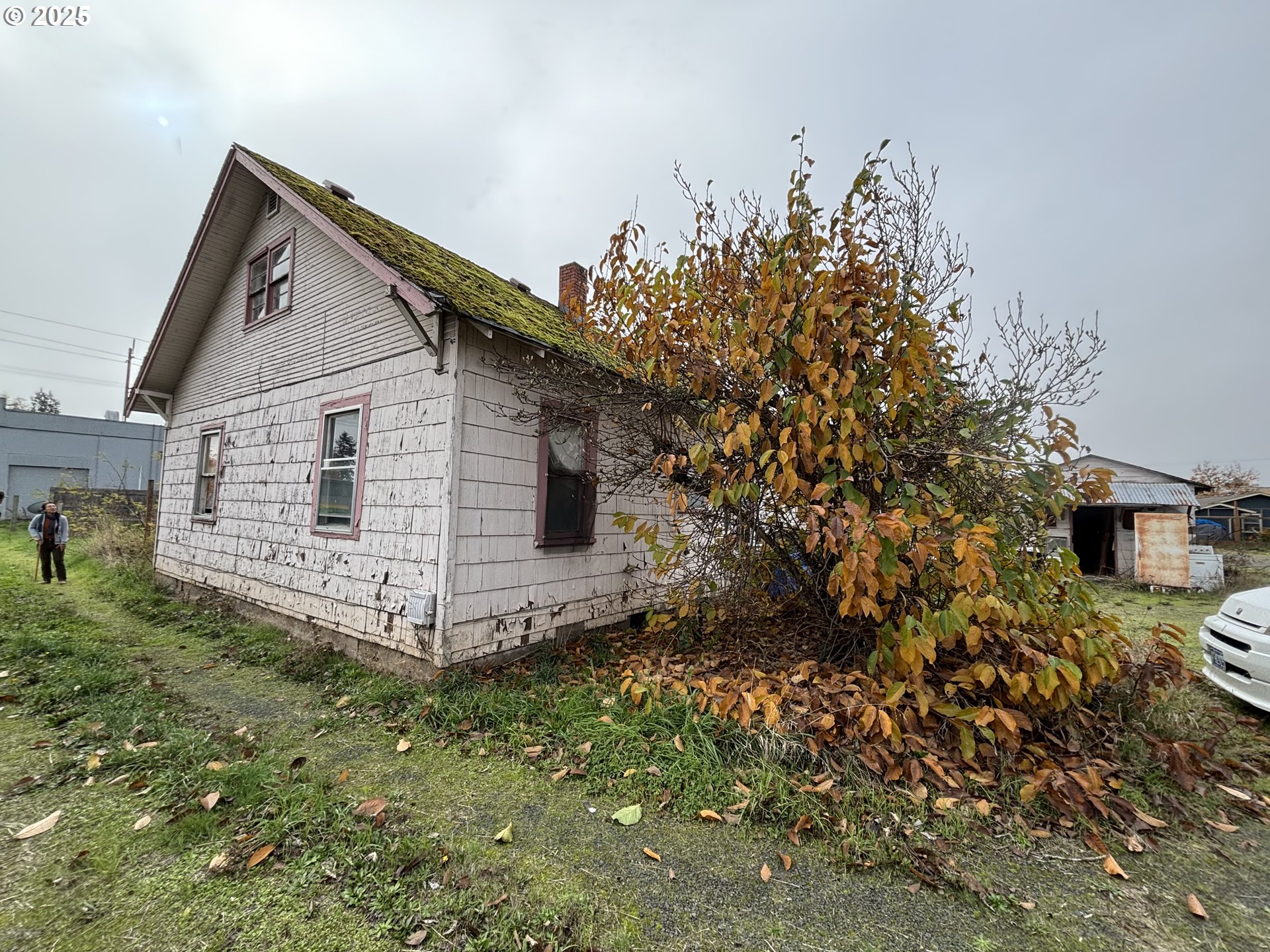 780 Q Street Springfield, OR 97477 - Photo 4 of 13