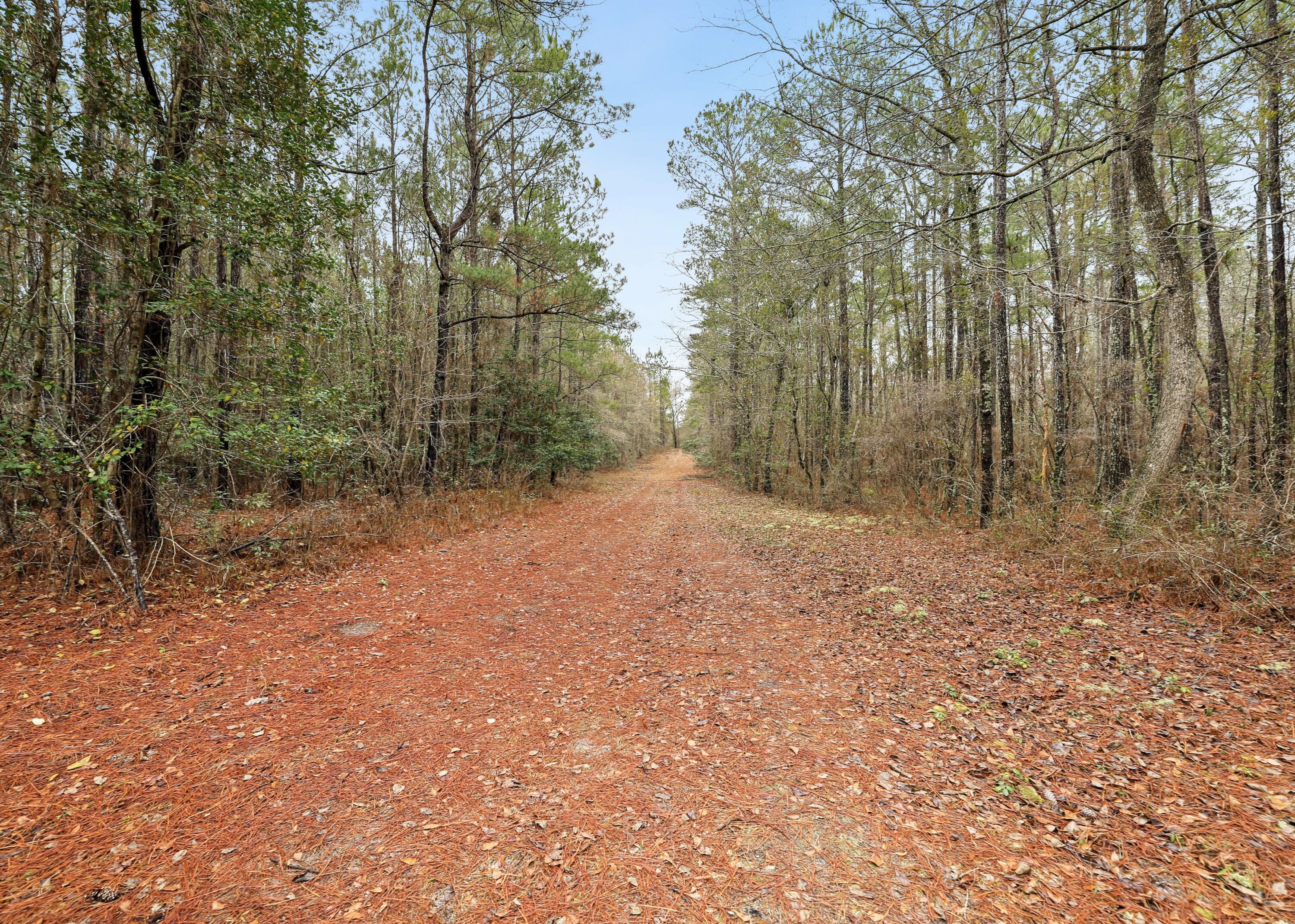0 Santee River Road St. Stephen, SC 29479 - Photo 5 of 10