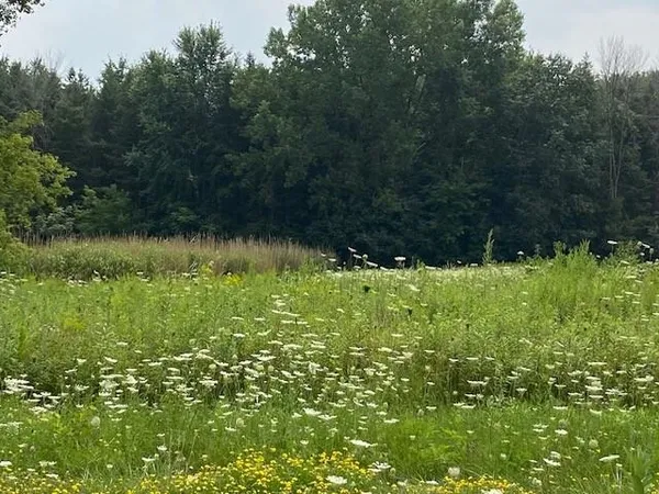 $299,900 | Timber Trail, Hortonville, WI 54944