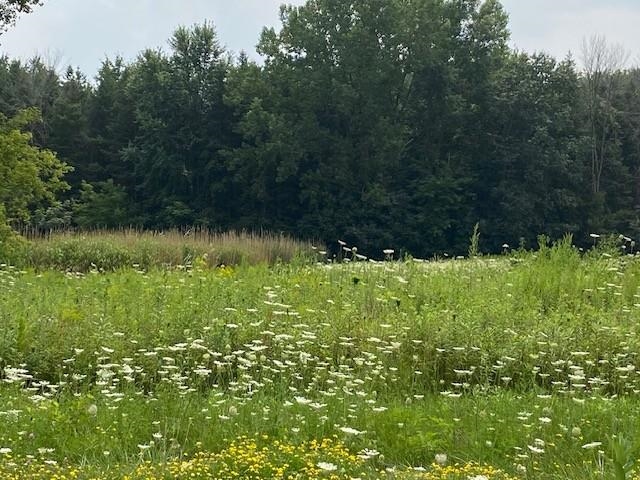 Timber Trail Hortonville, WI 54944 - Photo 2 of 3