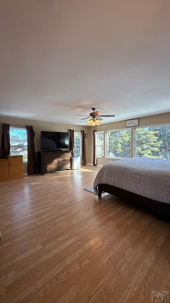 8295 Green Lane Rye, CO 81069 - Photo 62 of 88
