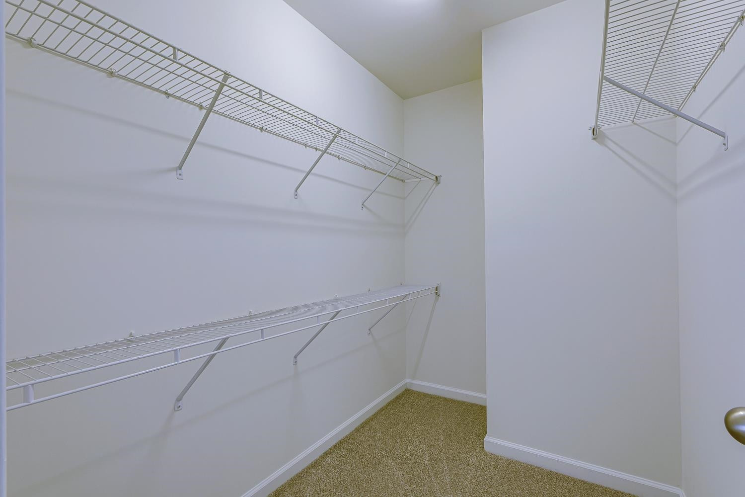 Large Owner's Closet
