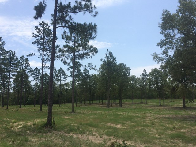 Lot2-ph7a Rembert Place Aiken, SC 29803 - Photo 1 of 1