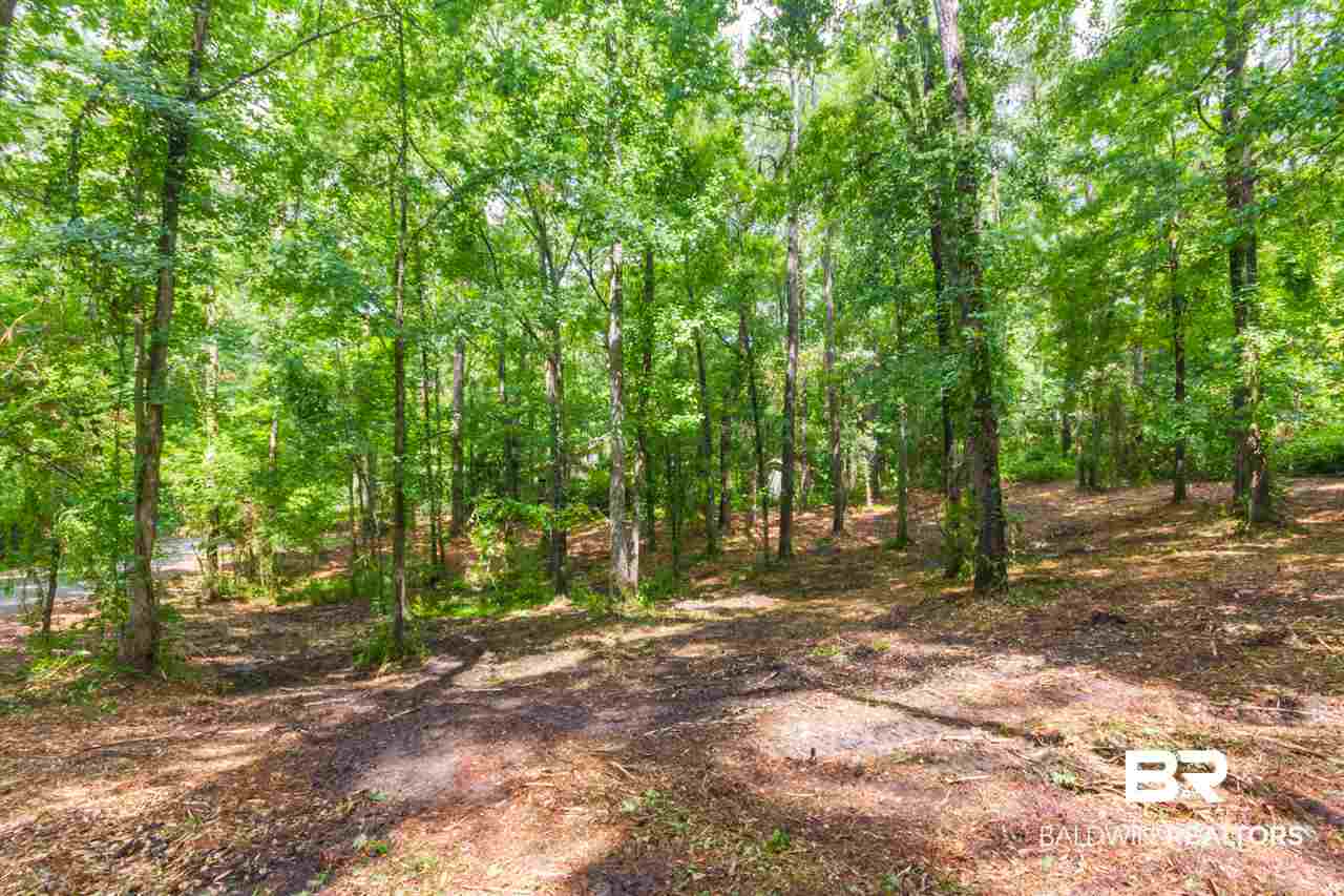 2 Military Bridge Drive Daphne, AL 36527 - Photo 6 of 12