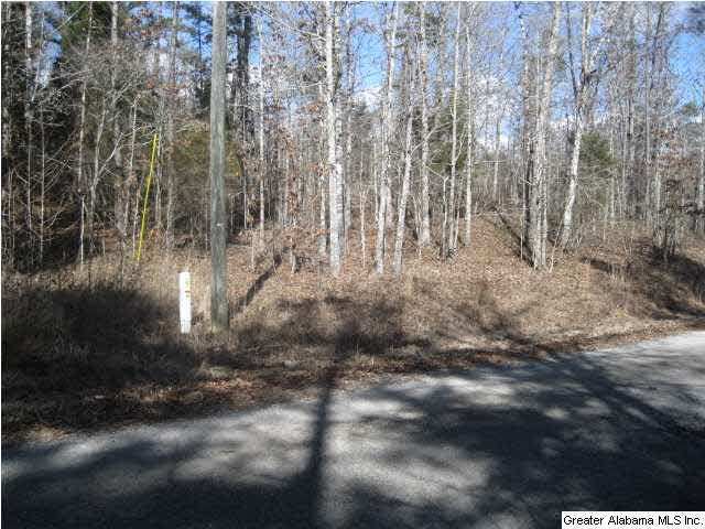 Turkey Ridge, Unit 36 Ragland, AL 35131 - Photo 2 of 13