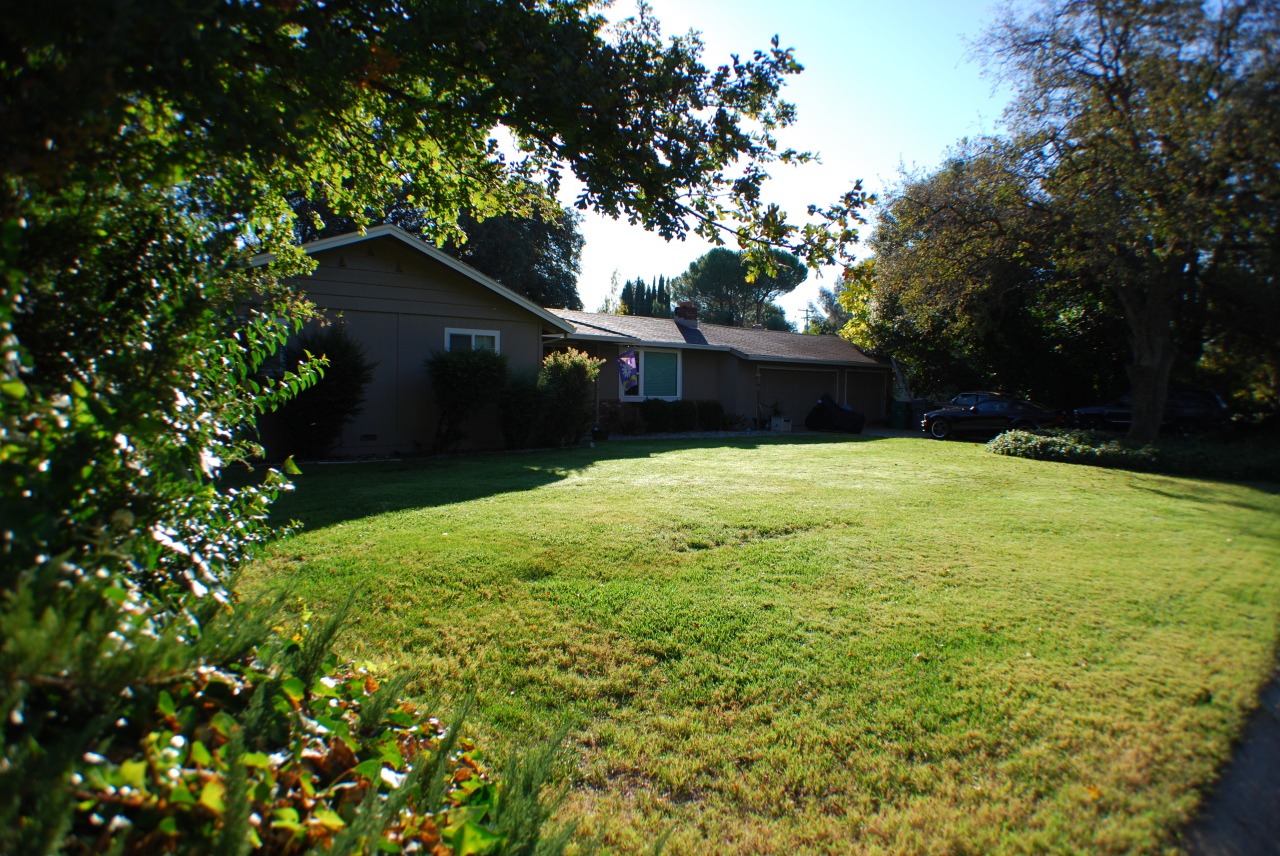 7017 Riata Drive Redding, CA 96002 - Photo 2 of 12 Front Yard