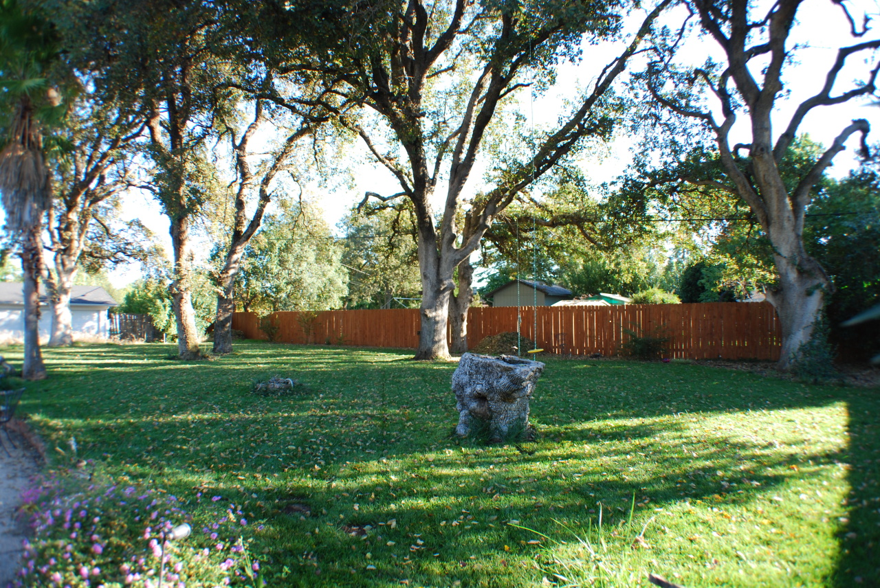 7017 Riata Drive Redding, CA 96002 - Photo 8 of 12 Backyard