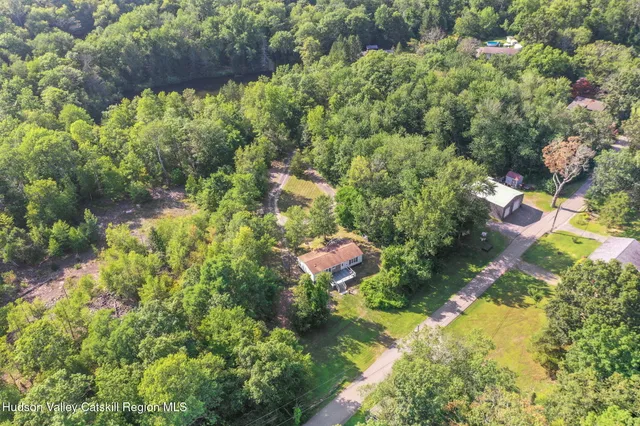 a picture of flowers