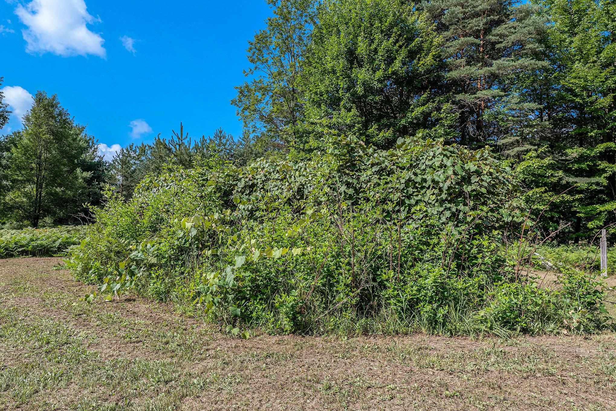 8588 Dell Road Kingsley, MI 49649 - Photo 44 of 47