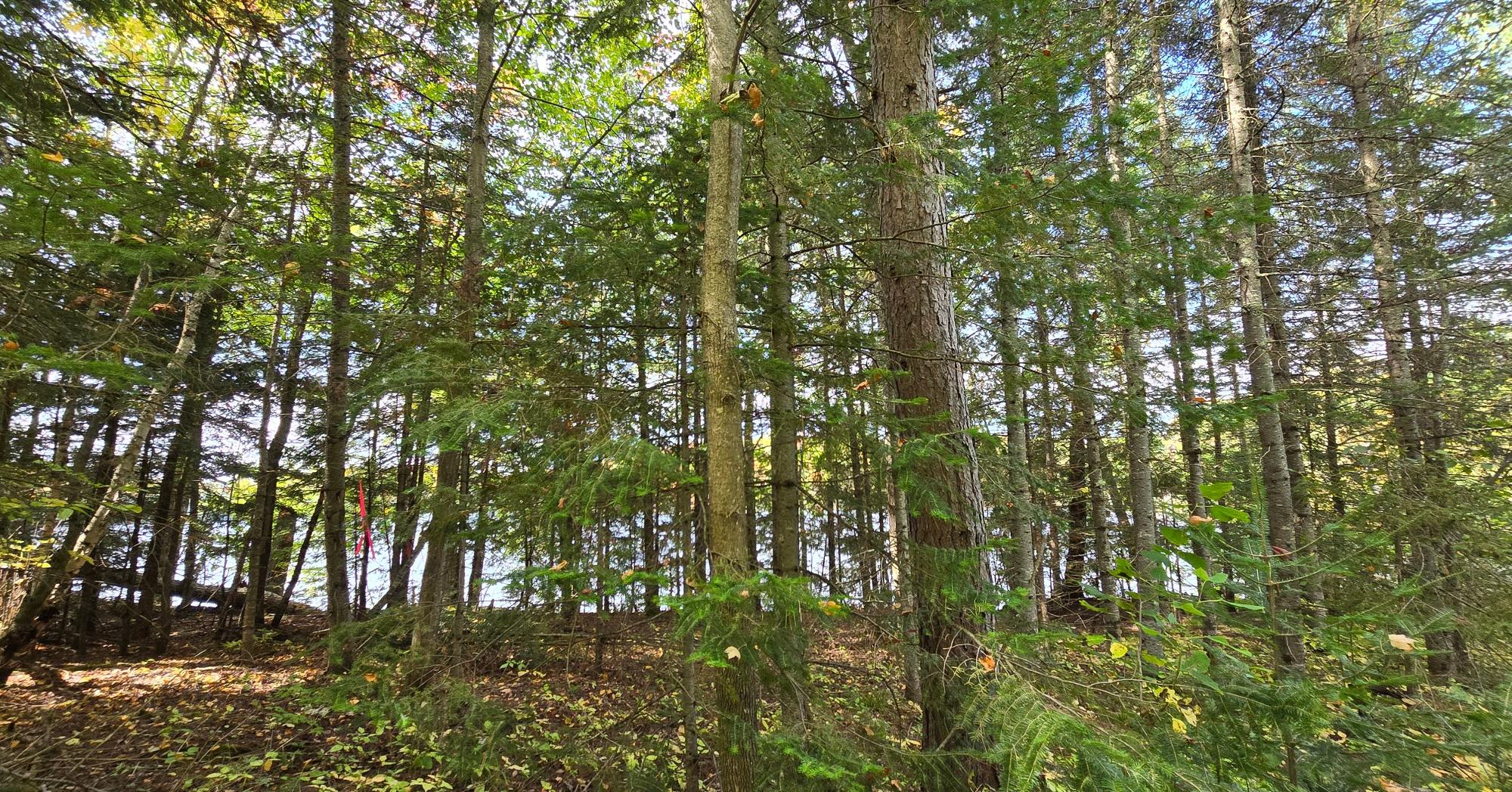 Lot 4 Bartsch Road Presque Isle, WI 54557 - Photo 11 of 57 Gallery Image 11