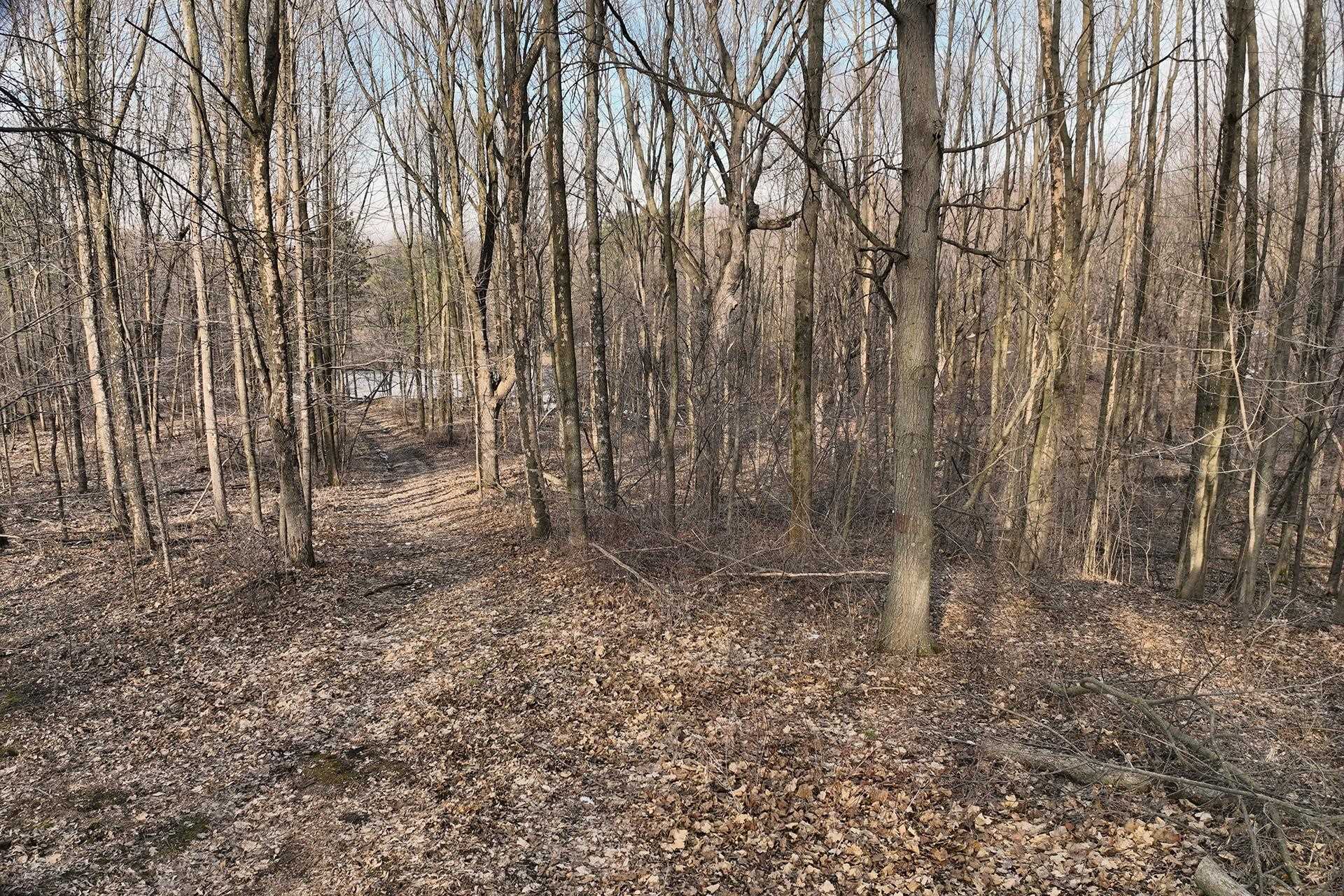 8.24-acres Ridge Road Neillsville, WI 54456 - Photo 10 of 15