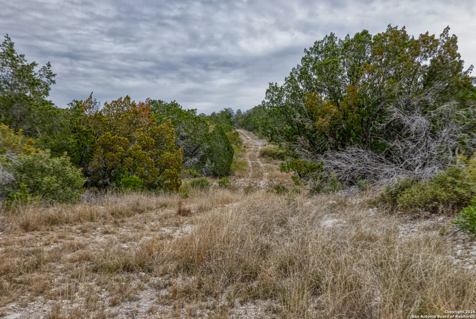 25 Sd 65065 Dusty Rose Ranch Rocksprings, TX 78880 - Photo 31 of 66