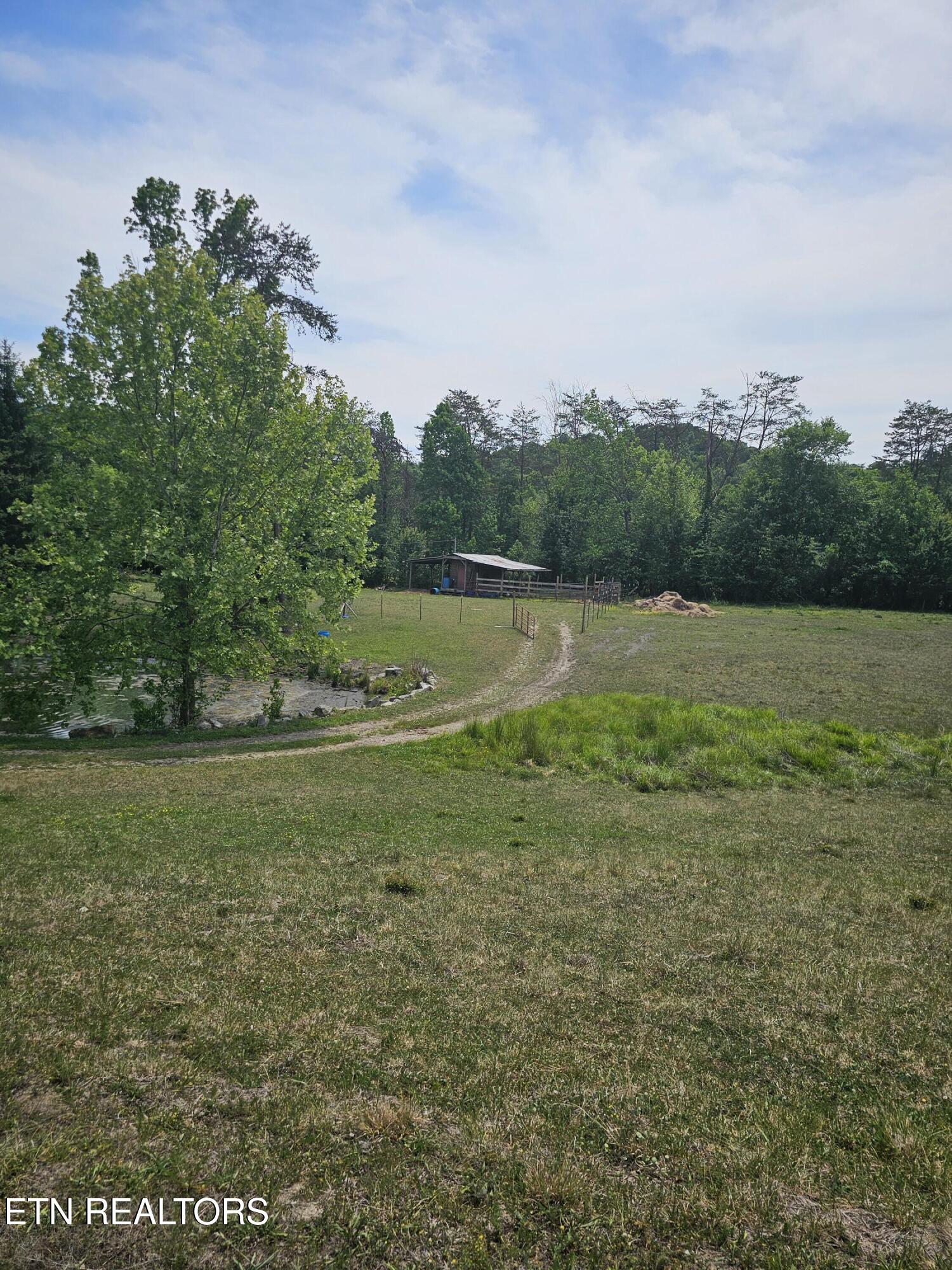 275 Republican Hill Road Newcomb, TN 37819 - Photo 11 of 34 Land