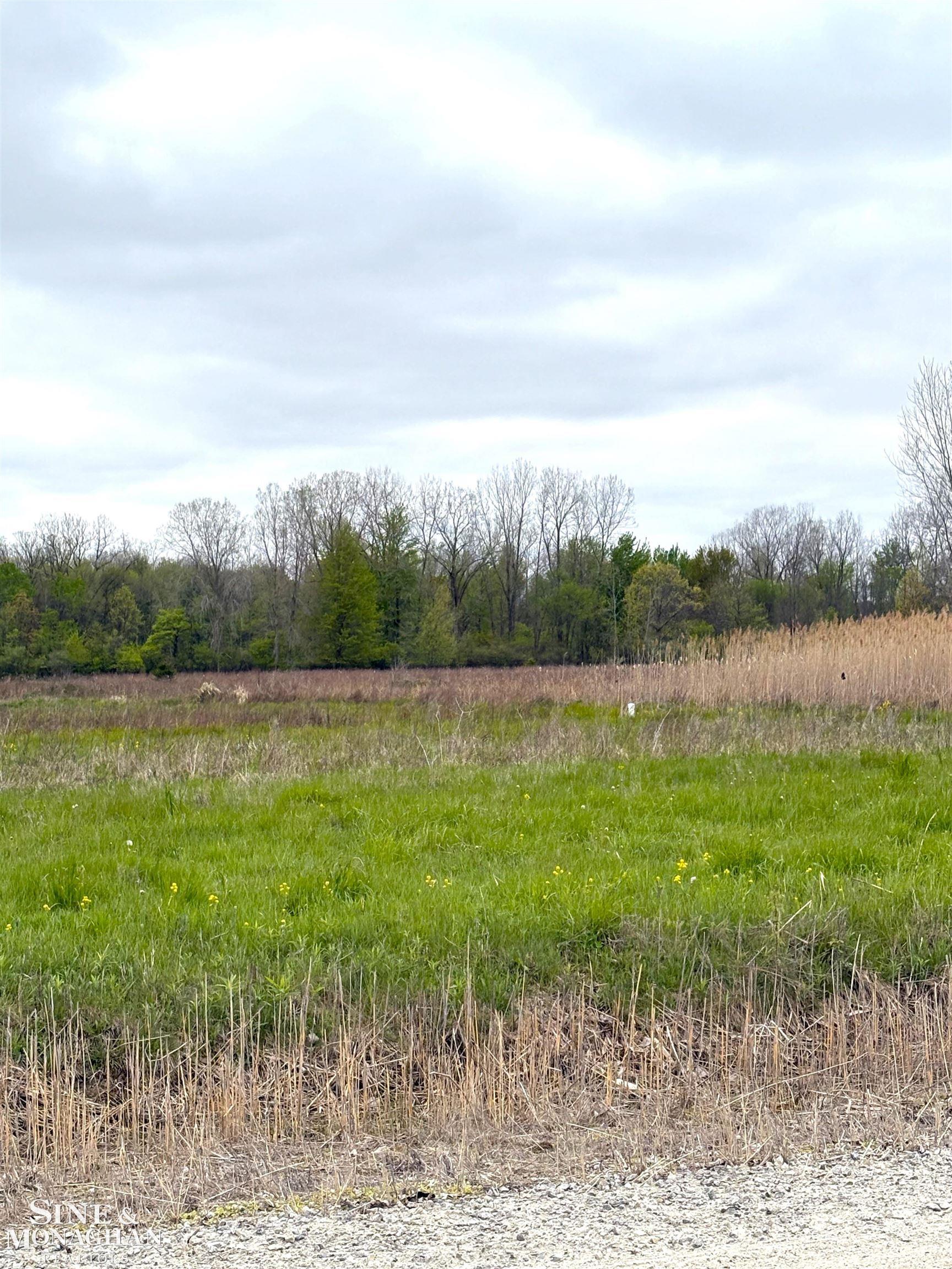 Vacant Hessen Road Columbus, MI 48063 - Photo 3 of 4