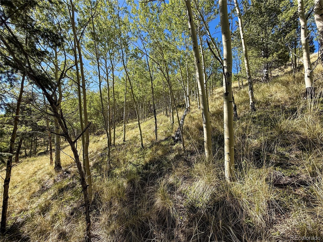 6829 Ryland Road San Luis, CO 81152 - Photo 20 of 28