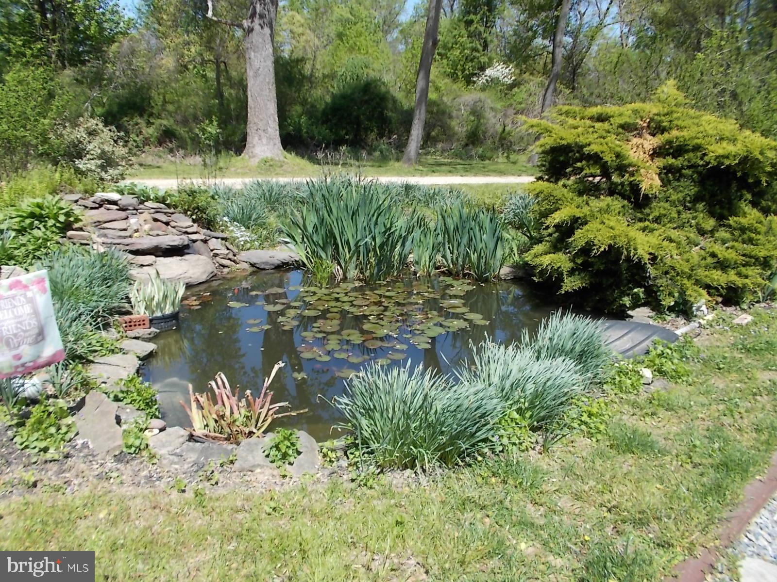 13361 Fishing Valley Road Worton, MD 21678 - Photo 2 of 7 Pond with waterfall