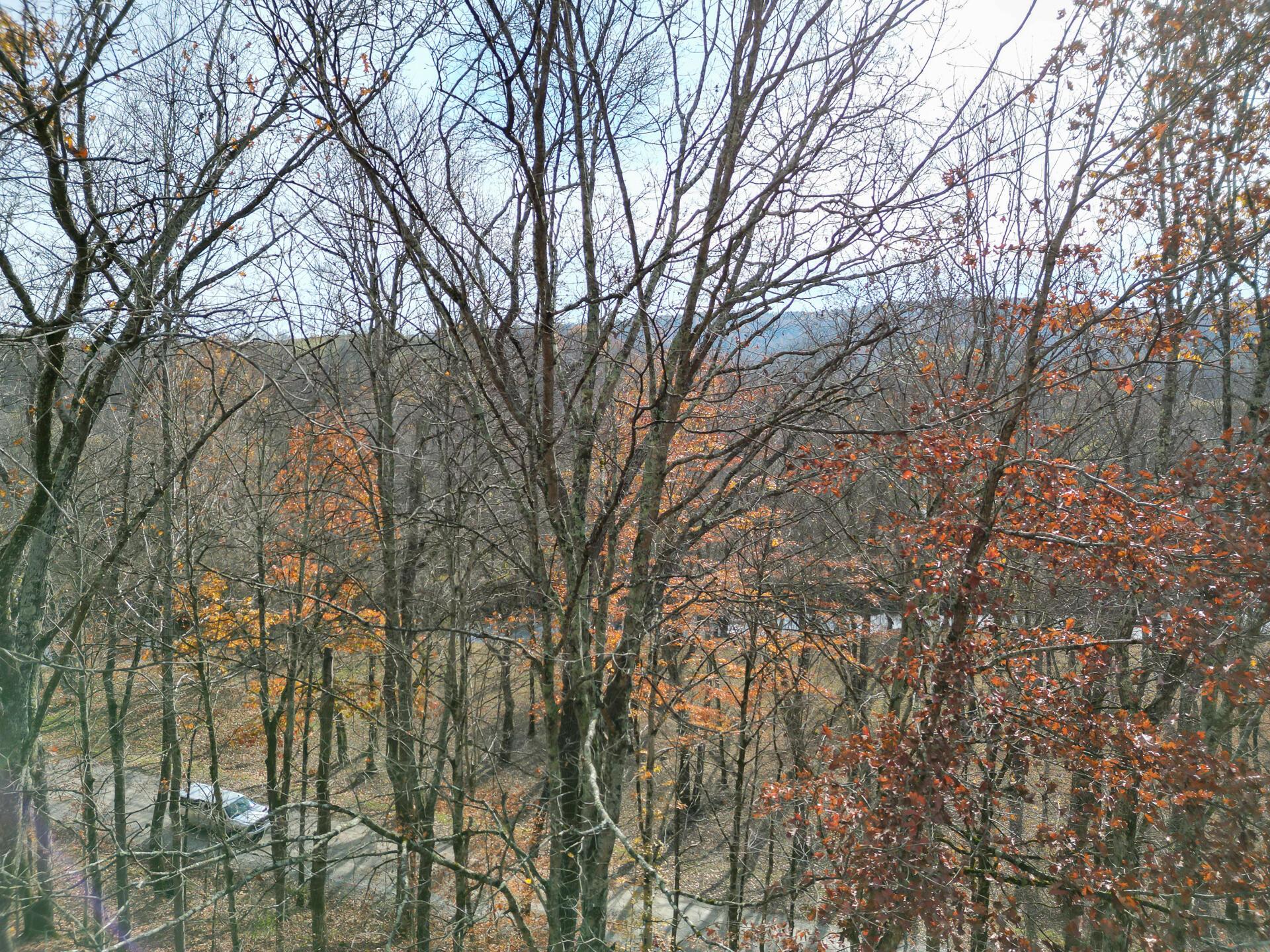 0 Keystone Road, Unit CREEKVIEW CABIN) Vinton, OH 45686 - Photo 77 of 95 CT-77