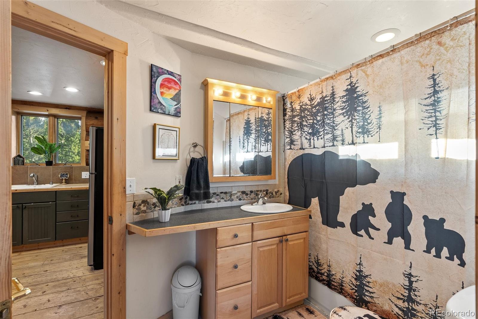96 Eva Road Idaho Springs, CO 80452 - Photo 20 of 34 a bathroom with a sink mirror and window