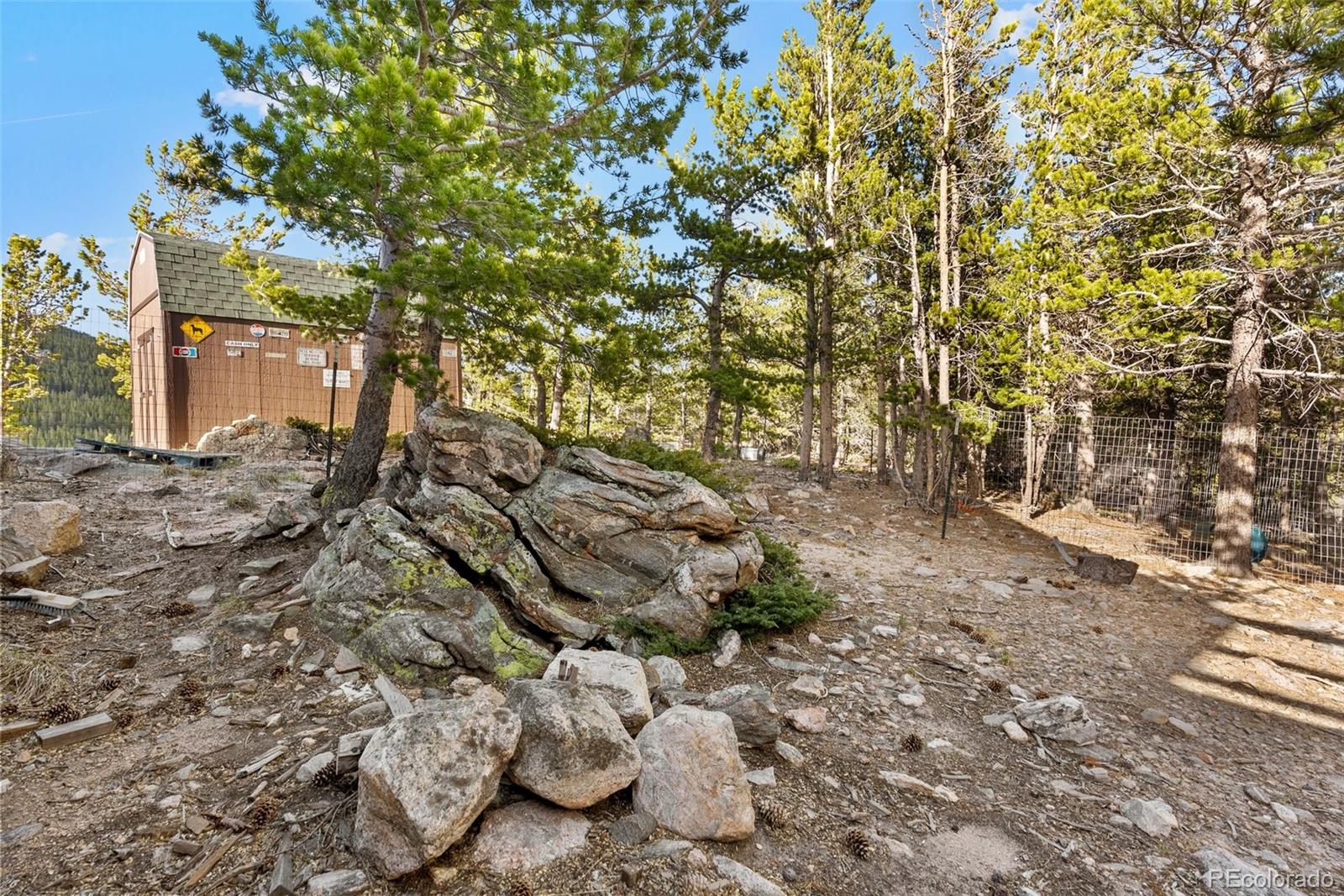 96 Eva Road Idaho Springs, CO 80452 - Photo 26 of 34 a backyard of a house with lots of green space