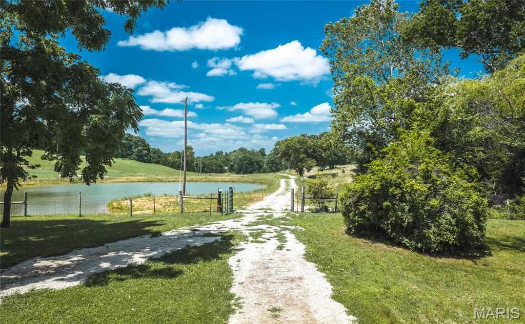 171 Czar Tower Road Steelville, MO 65565 - Photo 3 of 54