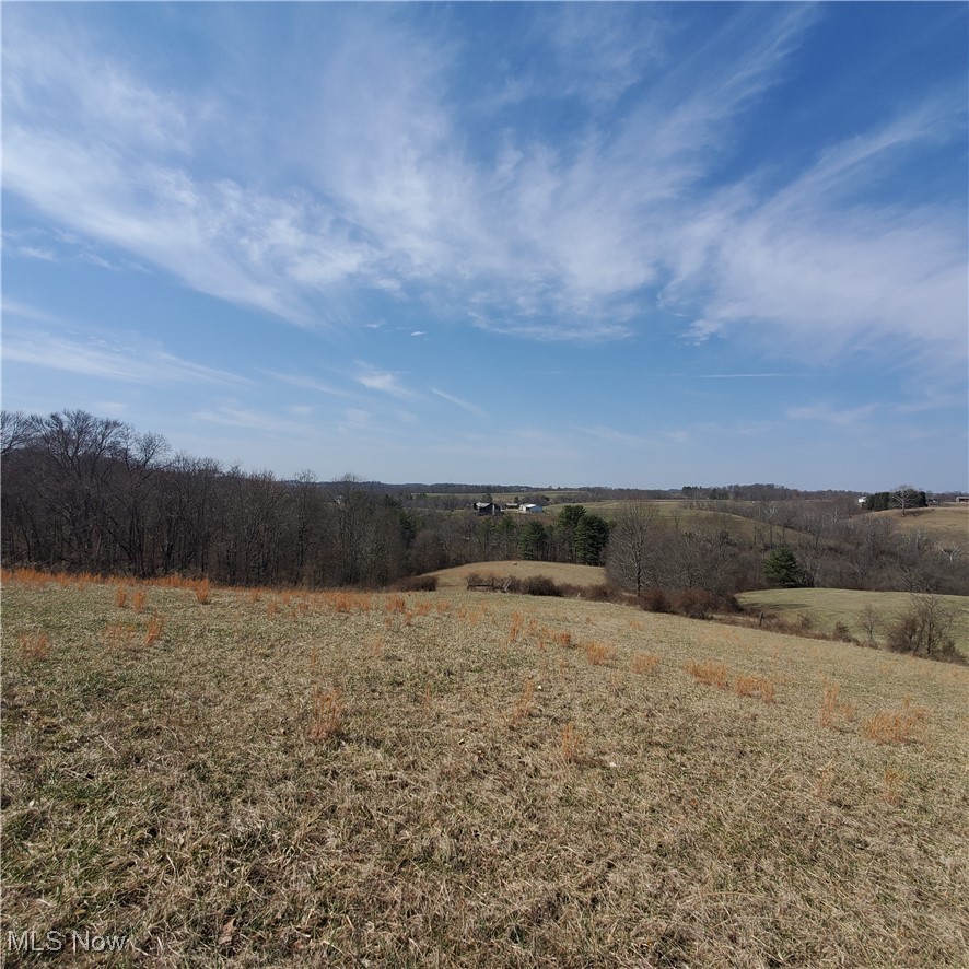 2229 Reeds Run Road Whipple, OH 45788 - Photo 25 of 28 View of local wilderness with a rural view