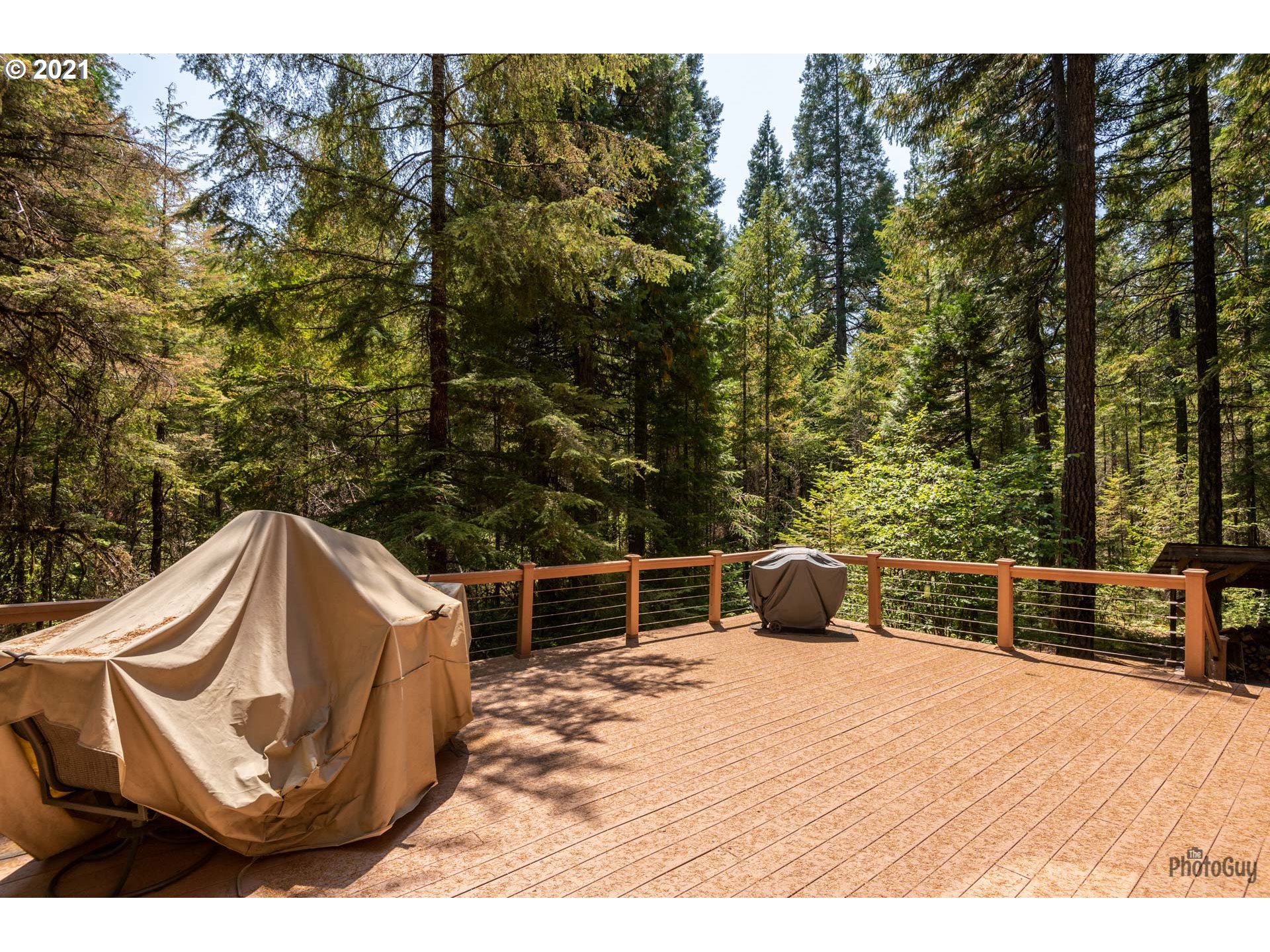 55500 Delta Road Blue River, OR 97413 - Photo 16 of 22 Gallery Image 16