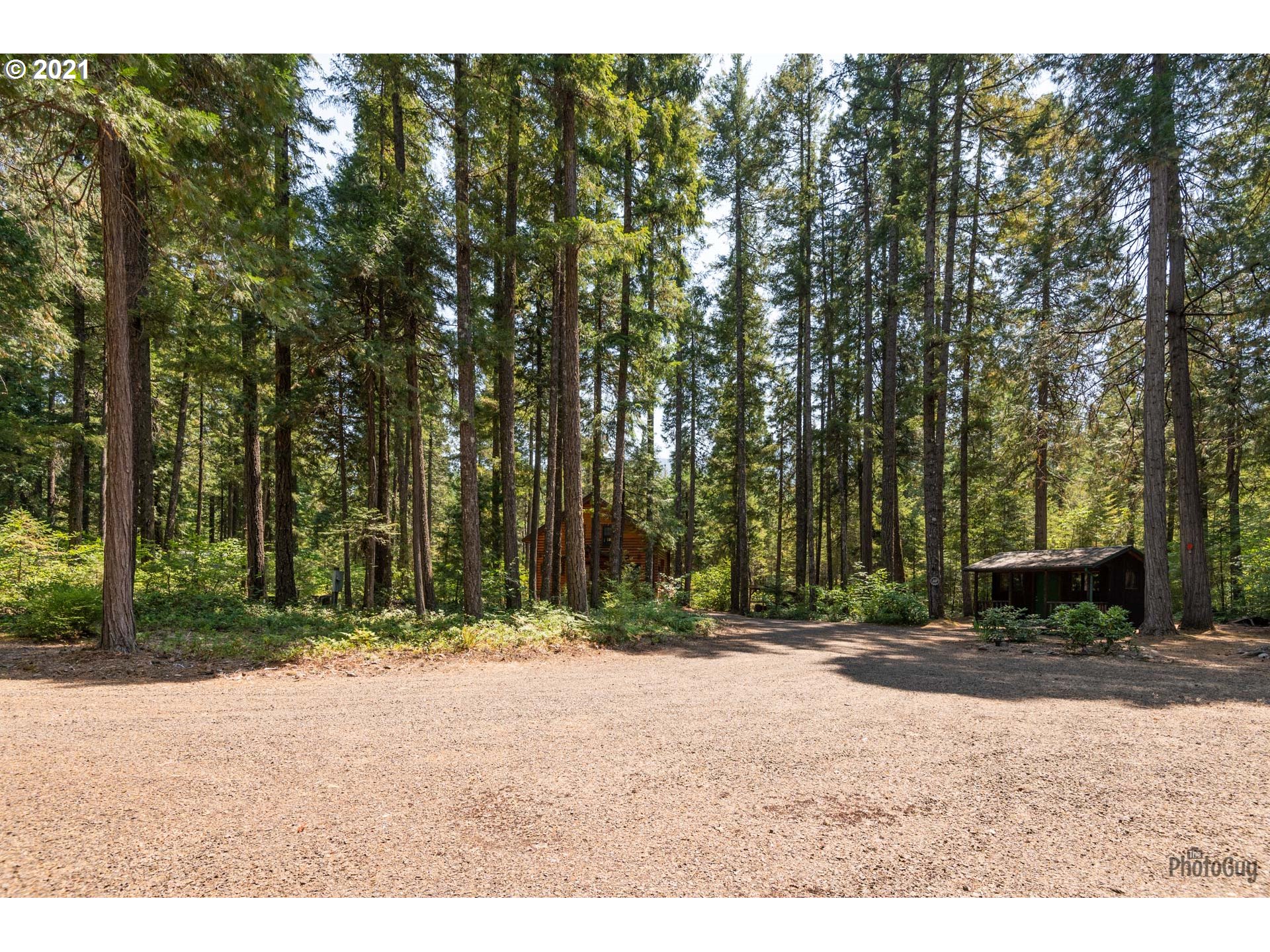 55500 Delta Road Blue River, OR 97413 - Photo 6 of 22 Gallery Image 6