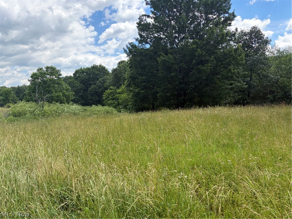 15441 Johnson Road Lisbon, OH 44432 - Photo 13 of 45 Nature