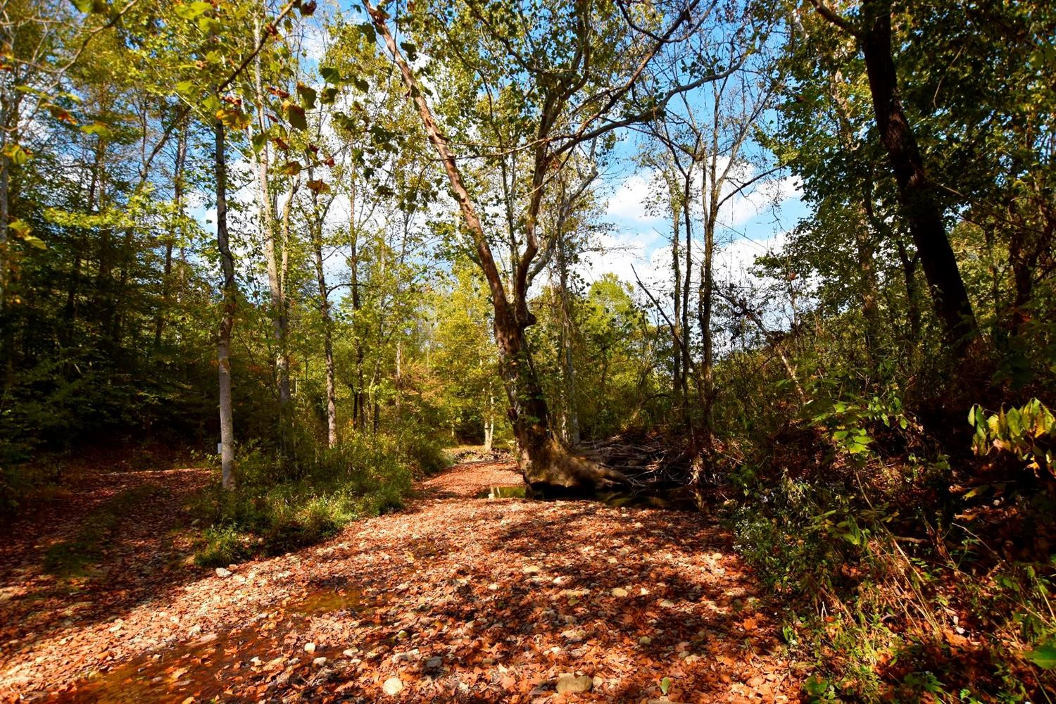 106 Middle Fork Road Irvine, KY 40336 - Photo 4 of 14 Full blown Middle Fork Creek with rare a