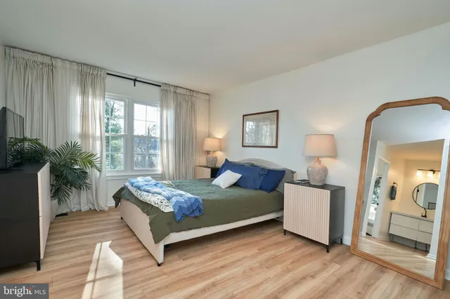 a living room with a bed furniture potted plant and a window
