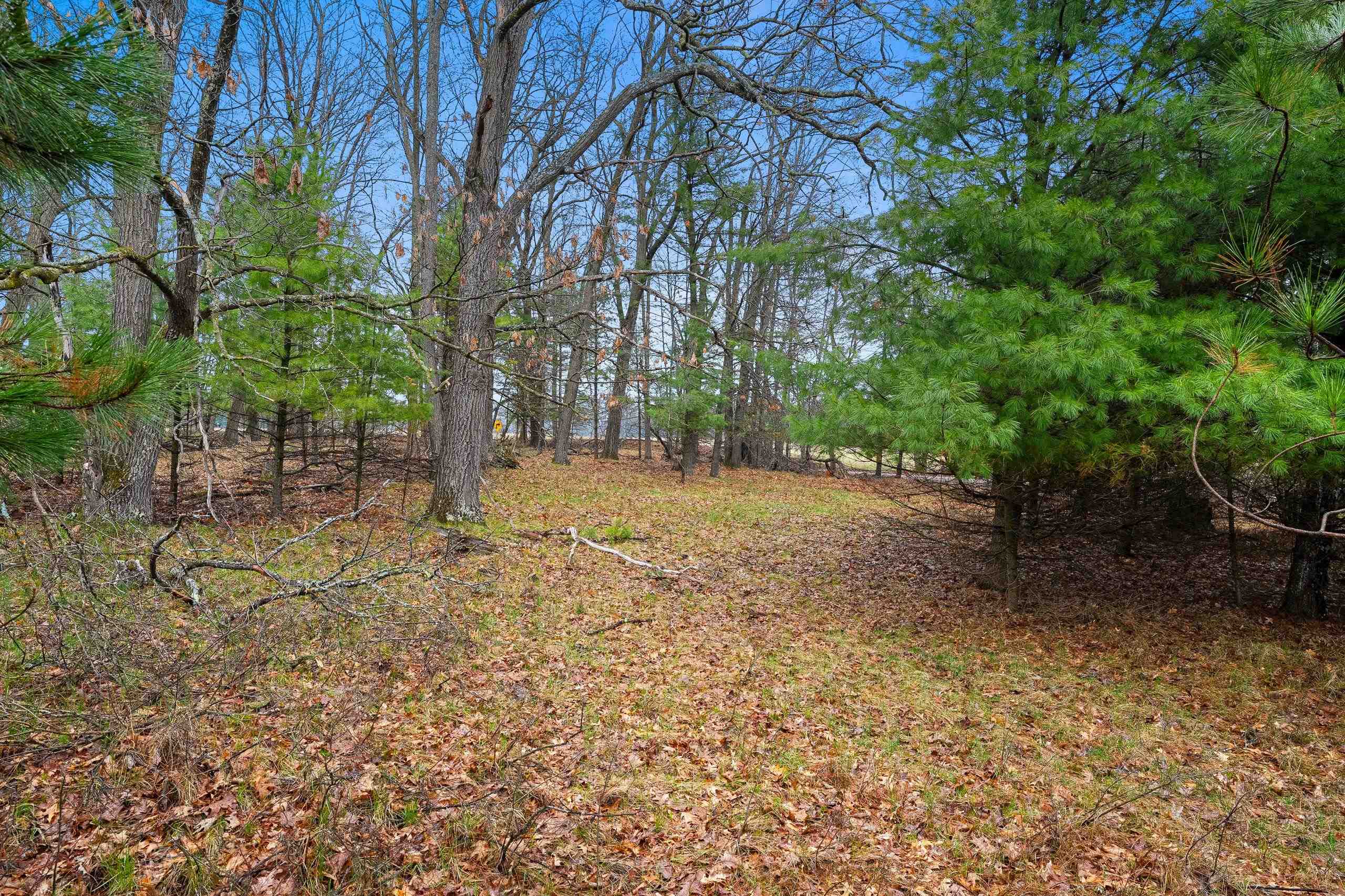 Russ Mainik Road Wausaukee, WI 54177 - Photo 9 of 23