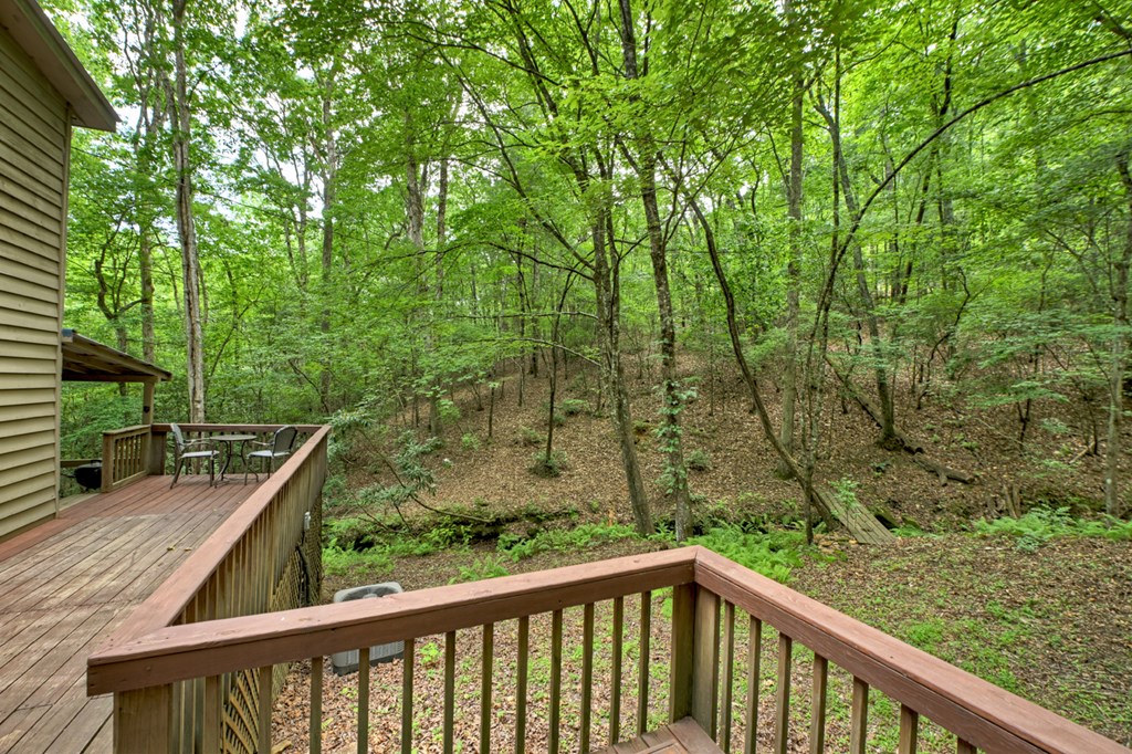 1431 Cashes Valley Lane Cherry Log, GA 30522 - Photo 21 of 57 a view of a balcony with outdoor space
