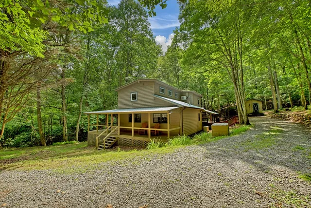 a view of a yard with large trees