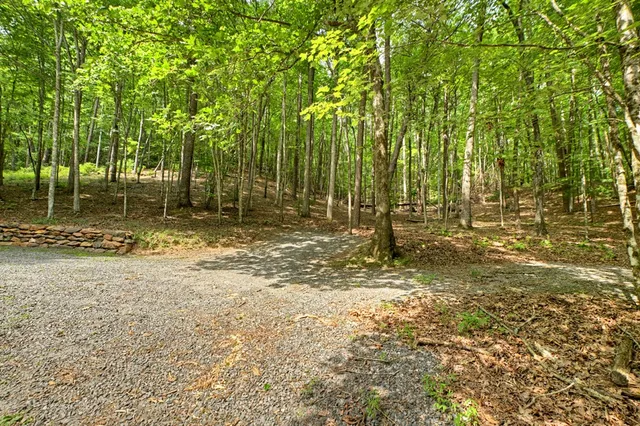 a backyard of a house with a trees