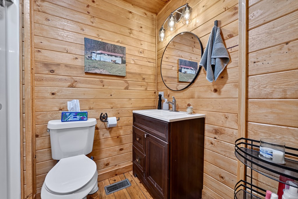1431 Cashes Valley Lane Cherry Log, GA 30522 - Photo 31 of 57 a bathroom with a toilet a sink and a mirror