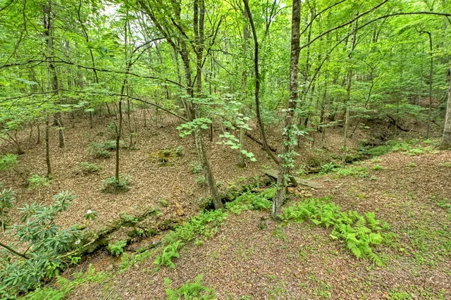 a view of yard with green space