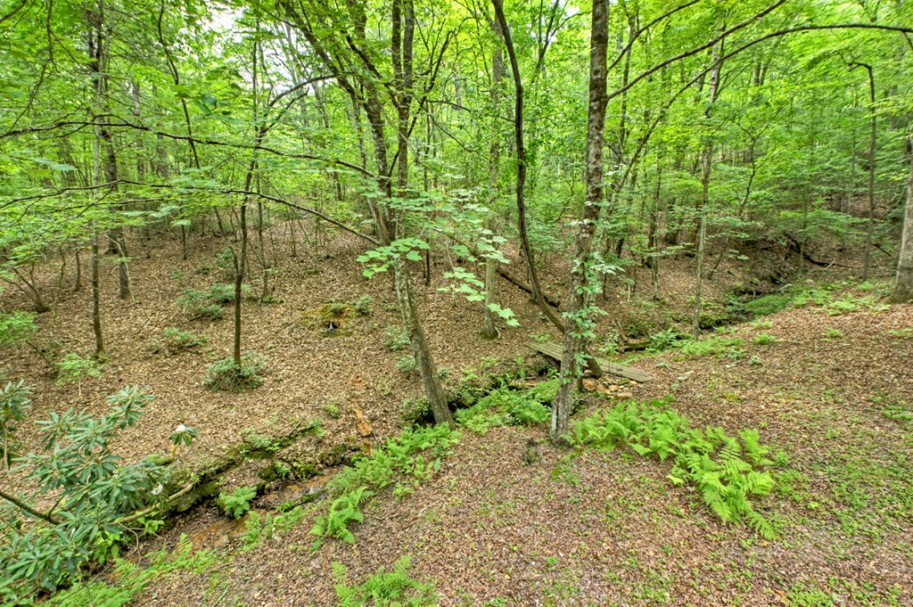 1431 Cashes Valley Lane Cherry Log, GA 30522 - Photo 32 of 57 a backyard of a house with lots of green space and garden