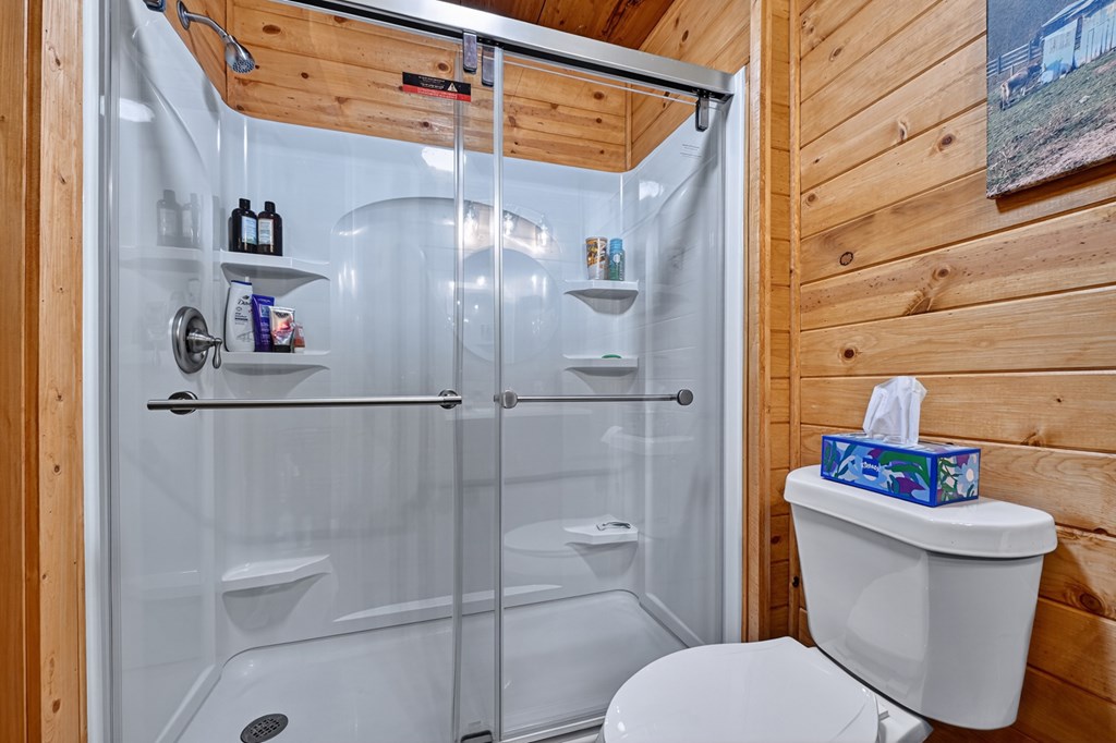 1431 Cashes Valley Lane Cherry Log, GA 30522 - Photo 36 of 57 a bathroom with a shower a toilet and sink