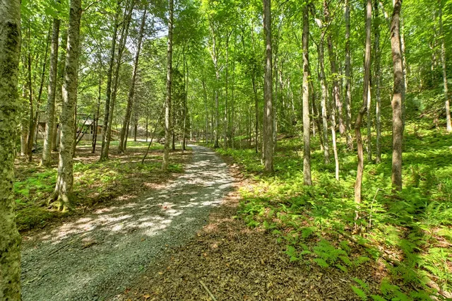 a kitchen with stainless steel appliances granite countertop a stove and a microwave