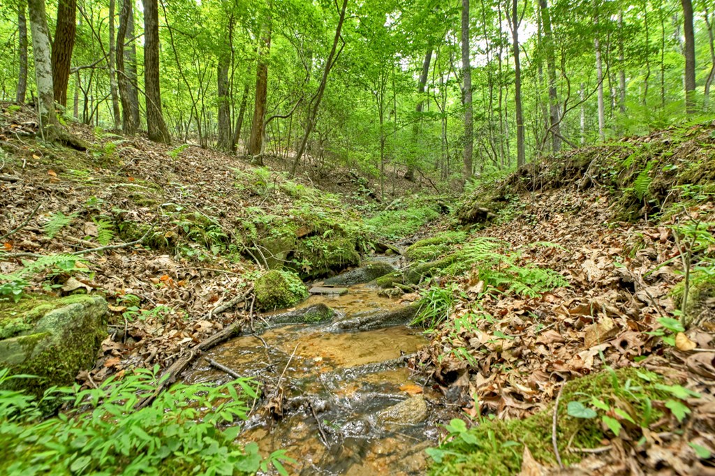 1431 Cashes Valley Lane Cherry Log, GA 30522 - Photo 39 of 57 a view of a yard with plants and wooden fence