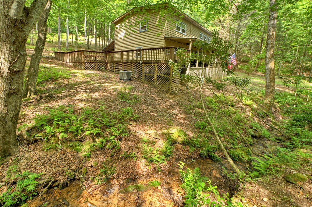 1431 Cashes Valley Lane Cherry Log, GA 30522 - Photo 42 of 57 a view of a yard with plants and large trees